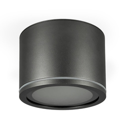 UMA fürdőszobai lámpatest, GX53, IP54, felszíni beépítés, kerek, Antracit, EDO777543 EDO Solutions