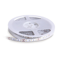 LED szalag TRAMO 300 diódák 2835 IP20 hideg 5m PREMIUM Kobi