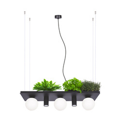 Fekete függőlámpa 3x E14 és 2x GU10 MAX LED 10W 5555 PLANT SHELF