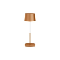 BELI asztali lámpa 0,5W LED mocha mousse akkumulátorral 600mAh IP54 meleg szín 50lm állítható magasság 13-21 cm EDO777722 EDO Solutions