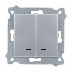 Kétpólusú kapcsoló világítással Ezüst 203/10E EXEN