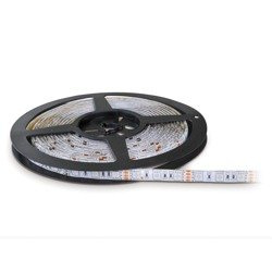 LED TRAMO 300 LED 5050 IP65 RGB 5M LED 5050 IP65 RGB 5M Kobi