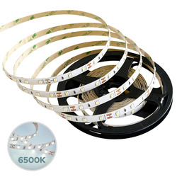 LED szalag NASTRO SMD 9,6W/m 60LED/m 6500K dimmelhető IP20 12V DC 5m EDO777703 EDO Solutions