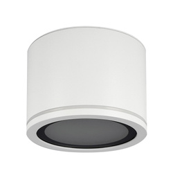 UMA fürdőszobai lámpatest, GX53, IP54, felszíni beépítés, kerek, fehér, EDO777542 EDO Solutions