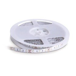 LED TRAMO 300 LED 2835 IP65 meleg 5m Kobi