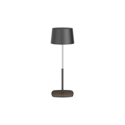 BELI asztali lámpa 0,5W LED fekete 600mAh akkumulátorral IP54 meleg szín 50lm állítható magasság 13-21 cm EDO777721 EDO Solutions